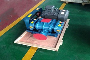 山東MSR80三葉羅茨鼓風機