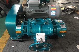 山東MSR100三葉羅茨鼓風機