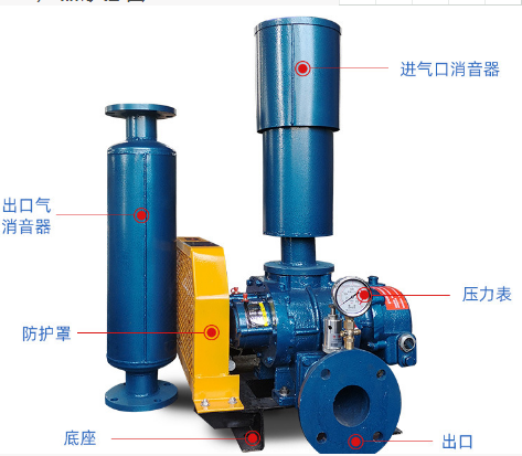 山東MSR65三葉羅茨鼓風機(圖1)