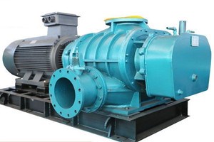 山東MSR100三葉羅茨鼓風機(圖1)