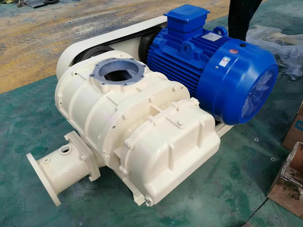 山東MSR200三葉羅茨鼓風機(圖1)