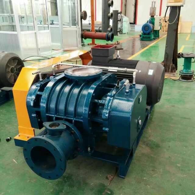 山東MSR250三葉羅茨鼓風機(圖3)