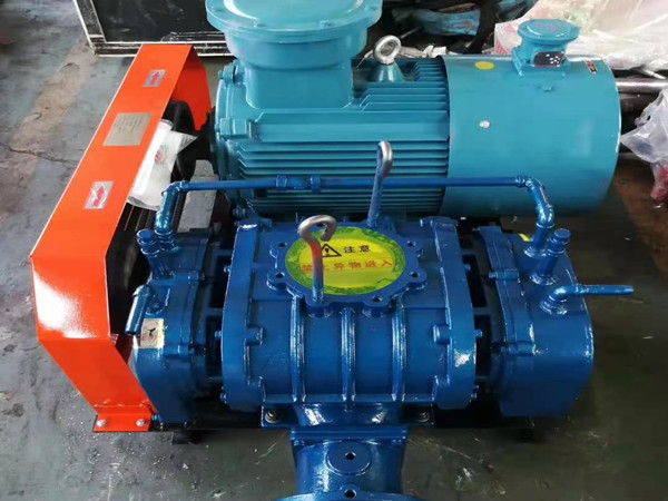山東煤氣增壓三葉羅茨風機(圖2)